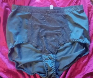 👙MED❤️Rhonda Shear SILKY PANTY Malla Superposición Calzoncillo AZUL SPANDEX STRETCH Bragas - Imagen 1 de 3