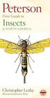 Peterson First Guide to Insects, Richard E White