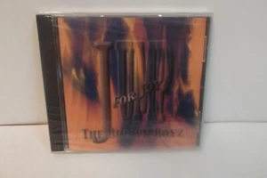 THE BROWN BOYS JUMP FOR JOY CD BRAND NEW SEALED - Picture 1 of 3
