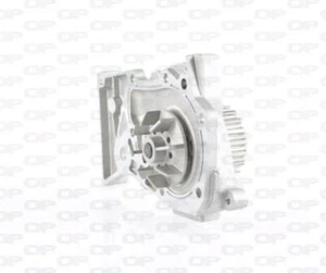 POMPA ACQUA RENAULT CLIO II III DUSTER FLUENCE GRAND SCENIC II III KANGOO LAGUNA - Imagen 1 de 1