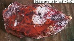 MEXICO - 2.4 ounce RED LAGUNA LACE AGATE SLAB - GRADE A - Picture 1 of 4