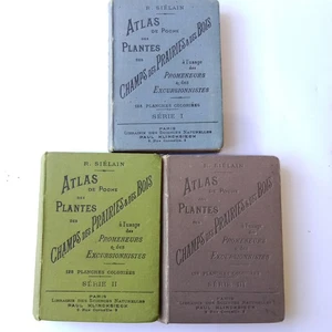 Sielain Taschenatlas der Wiesenfeldpflanzen Serie 1, 2 und 3 1899 - Bild 1 von 24
