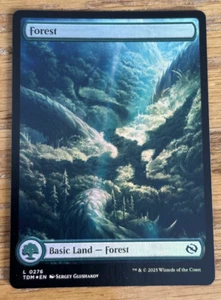 MTG Tarkir Dragonstorm, Bosque 0276 - Lámina - Imagen 1 de 1