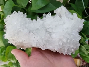 859g schöne natürliche transparente Quarz Kristall Cluster Mineral Probe - Bild 1 von 12