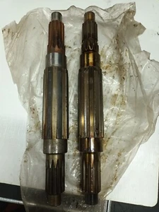 Árbol Primario Cambio Om Cerbiatto Daino Leoncino Lupetto Tigrotto 8553308 - Imagen 1 de 1