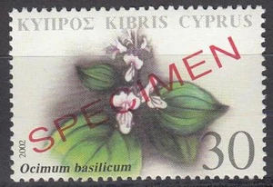 Specimen, Cyprus Sc993 Medicinal Plant, Ocimum basilicum - Picture 1 of 1