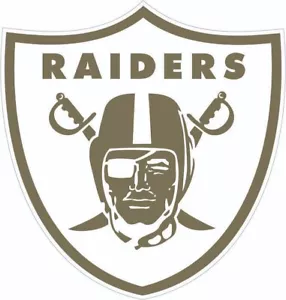 Casco da calcio taglia intera ispirati al servizio Raiders Salute To Service SOLO LATI - Foto 1 di 2