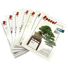 Bulk 10 Bonsai Today Magazines Issues No# 61, 62, 63, 64, 65, 66, 67, 68, 69, 70