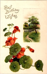 Hermosas flores en postal de felicitación vintage o/18 BI6507 - Imagen 1 de 2