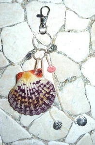 ★ DIY ★ Colgante de bolsillo ★ ALMEJA ★ crema y púrpura ★ - Imagen 1 de 2