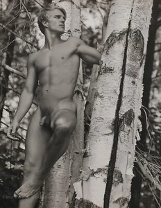 1989 Vintage BRUCE WEBER Male Nude JASON Adirondack Tree Photo Gravure Art 12X16 - Picture 1 of 1
