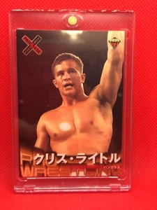 CHRIS LYTLE PANCRASE Pro-Wrestling Cards BBM 1999 with loader rare - Picture 1 of 10