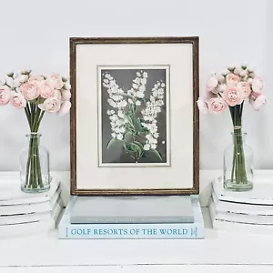 Vtg Botanical Print Framed Deutzia Japan Van Houtte Flore 1853 Shabby Chic - Picture 1 of 7
