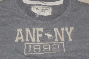 Abercrombie & Fitch Herren XL grau Muscle Fit Langarm ANF NY genähtes Hemd - Bild 1 von 2