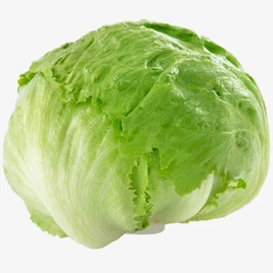 100 British Giant Iceberg Lettuce Seeds UK Hardy Large Ball Leafy Vegetables - Picture 1 of 4