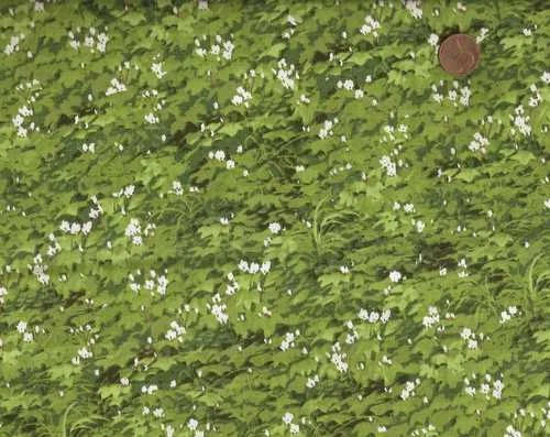 Valle Cola Blanca Verde Hierba Hojas Flores Blancas Exclusivamente Tela Acolchadores Foto 1 de 1