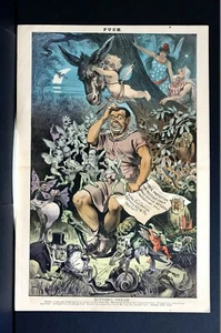 Political FAIRIES Flying Around IRISHMAN as DEMOCRACY 1884 John LOGAN ROOSEVELT - Picture 1 of 12