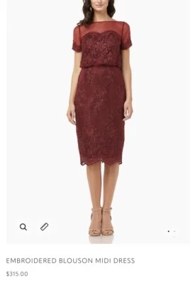 JS Collections 刺绣 Blouson Midi 连衣裙 Sangria 尺码 12 全新带标签 — 第 1/4 张图片