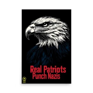 Abolish MAGA - Real Patriots Punch Nazis wall poster - Picture 1 of 24