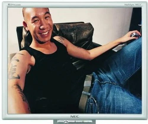 NEC MultiSync 90GX² 19" LCD Vintage Gaming Monitor 4ms Fast Response 1280x1024 - Image 1 of 4