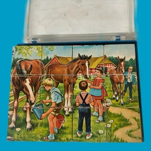 Vintage Herrmann Eichhorn West Germany With Lithos 6 Sided Block Puzzle Case - Picture 1 of 7
