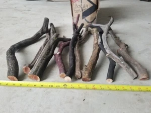 10 Manzanita Branches 20"-24" (Box #9) - Picture 1 of 3