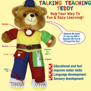 Talking Teaching Teddy - Picture 1 of 1