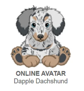 Webkinz Classic Dapple Dackel *nur Code* (~nachricht~) - Bild 1 von 3