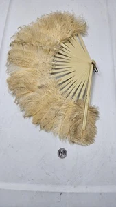 Vintage, Antique Feather Fan - Picture 1 of 3