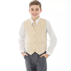 Boys Suit 4 Piece Grey Waistcoat Suit Champagne Swirl Pageboy Formal Wedding - Picture 1 of 11