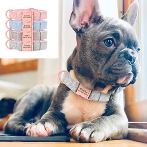 Nylon Dog Collar Personalised Name ID Engrave Adjustable French Bulldog Pug Pink - Picture 1 of 16
