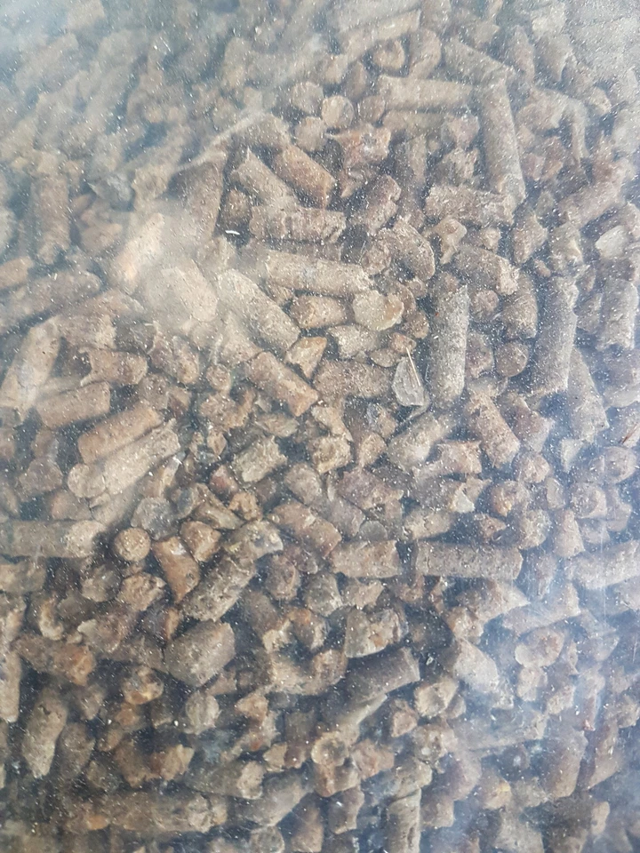 Angebot 60 kg Hornpellets Horndünger Naturdünger Horn Gemüsedünger Blumendünger - Bild 1 von 1
