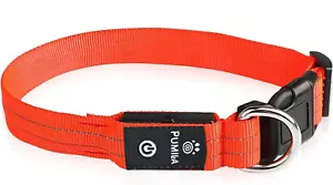 LED Flashing Dog Collar Pumila Rechargeable Waterproof Light Up Orange D21 N - Picture 1 of 8