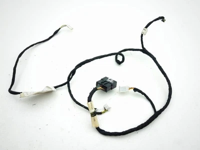 Arnés de cableado de puerta trasera Maserati Quattroporte 2005 telar 196810 AMD204736 Foto 1 de 4