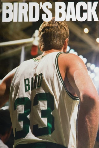 BOSTON CELTICS LARRY BIRD "BIRDS BACK" 20X30 POSTER PRINT Cover