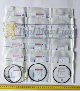 18 segments 1,5 - 2 - 4 diam 91 Peugeot 604 V6 ZNJ 505 V6 ZN3J - Picture 1 of 2