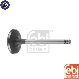 4x INLET VALVE 19958 FOR VW AYC/ACV/AUF/AXL/AGX/AHD/AJT/AYY/AXG/AHY/APA 2.5L - Picture 1 of 6
