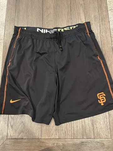 Mens Nike San Fransisco Giants Baseball Shorts Large Cover