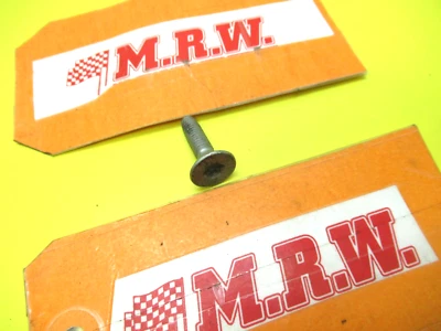 PESTILLO PUERTA TORNILLO TORNILLO BLOQUEO ACTUADOR DERECHO IZQUIERDO DELANTERO TRASERO para SAAB 900 99-02 9-3 Foto 1 de 4