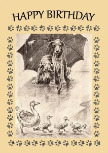 IRISH TERRIER 2 DOGS & DUCKS IN RAIN DOG BIRTHDAY GREETINGS NOTE CARD - Picture 1 of 1