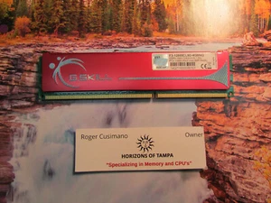 2GB G. SKILL F3-12800CL9D-4GBNQ DDR3 DESKTOP RAM MEMORY - SINGLE - Picture 1 of 1