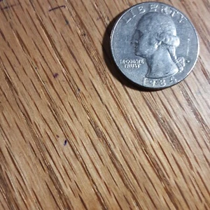 1984 D Quarter Error 19*84 , Has a * between the 9 and 8. - Picture 1 of 4
