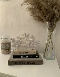 Luxus Groß Deko Reisin Weiß Koralle Wohnkultur Ornament Dekor - Bild 1 von 2