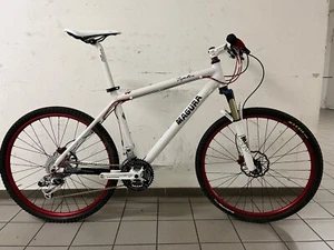 Hot Chili Zymotic - MTB Hardtail - ungefahren - RH S - Teamlackierung - Bild 1 von 12