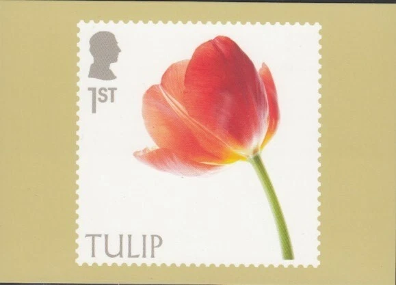 Tarjeta PHQ de flores de tulipán de Gran Bretaña Royal Mail Foto 1 de 1