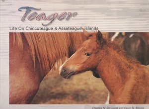 Teager, Life on Chincoteague & Assateague Islands by Showard & Moore photo illus - Imagen 1 de 2