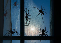  Spider Crawling Halloween Scary Vinyl Decal Sticker Car Window Wall Art