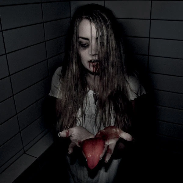 Det Vidaapne Gap - The Temple of the Mind (Digipak) - Bild 1 von 1