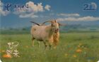 CHINA. FAUNA. Feral goat - Cabra salvaje. GZ-200C-009(3-1). (635).