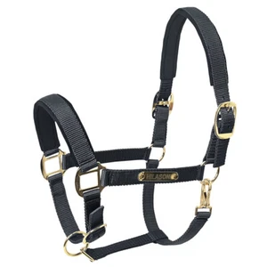 97HI XS S M L HILASON Western Horse Top Grade Nylon Comfortable & Flexible - Picture 1 of 33